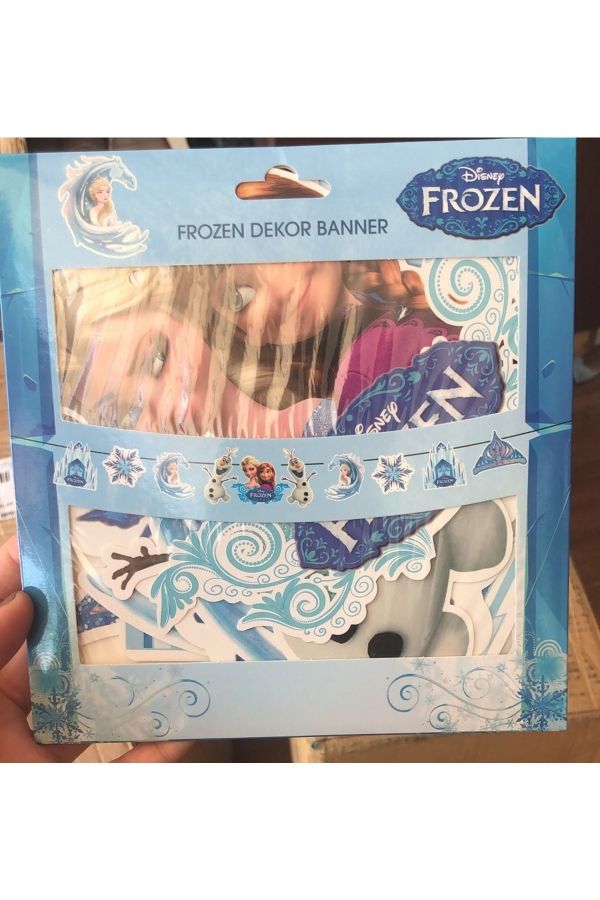 Frozen Elsa Temalı Dekoratif Banner Frozen Karakterli İpli Dekor Banner Elsa