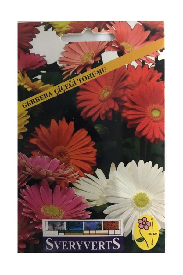 Gerbere Çiçeği Tohumu Paket