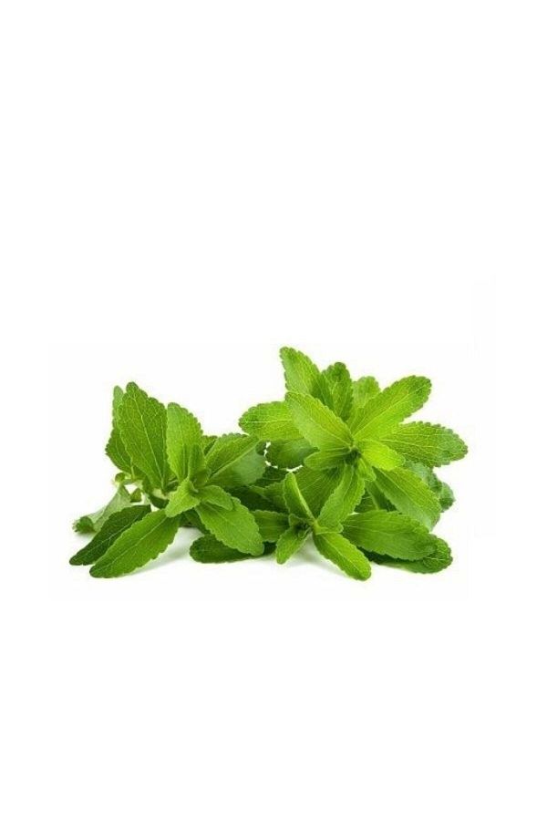 Stevia Şeker Toz Tatlandırıcı 500 Gr