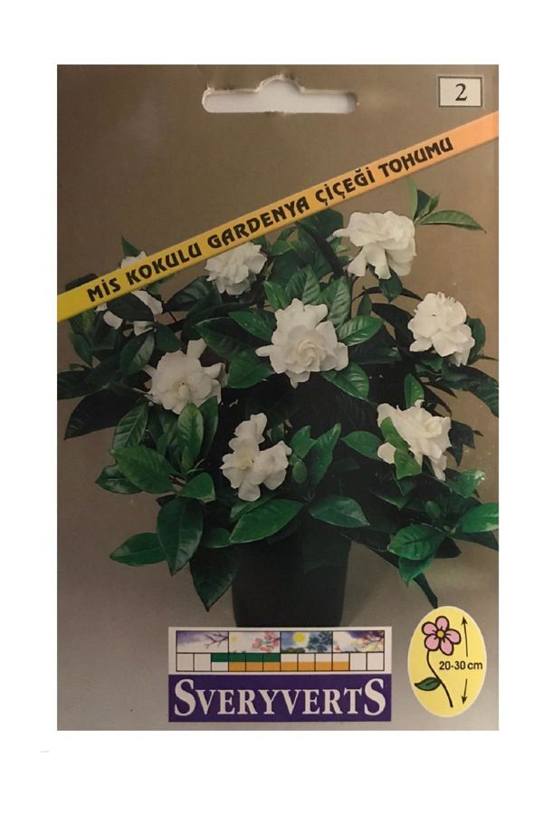 Mis Kokulu Gardenya Çiçeği Tohumu Paket