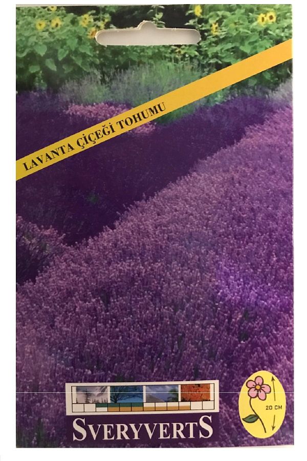 Lavanta Çiçeği Tohumu  Paket