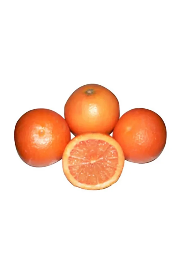 Pomelo Adet - 1