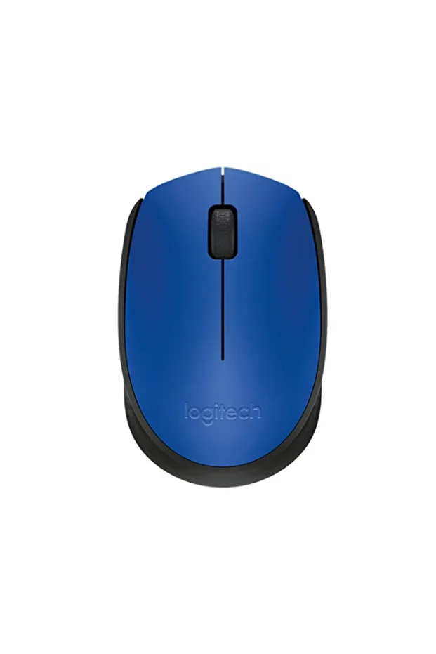 Logıtech M171 Kablosuz Usb Mouse Mavi 910-004640 - 1