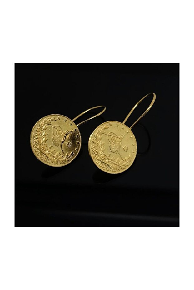 Gümüş Lira Küpe Cn76c1 - 1