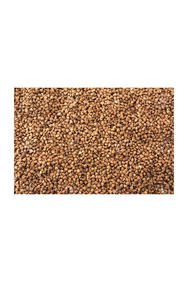 Kara Buğday 250 Gram Karabuğday Greçka Buğday Tohumu Karabuğday Tohumu Tohumluk Karabuğday - 1