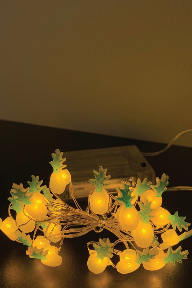 Ananas Gümüş Tel Led GE3185 - 1