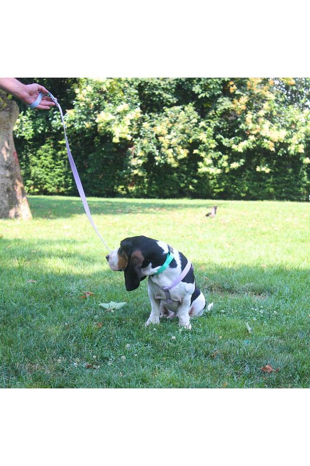 Su Geçirmez Biothane Köpek Göğüs ve Boyun Tasması Seti - 3