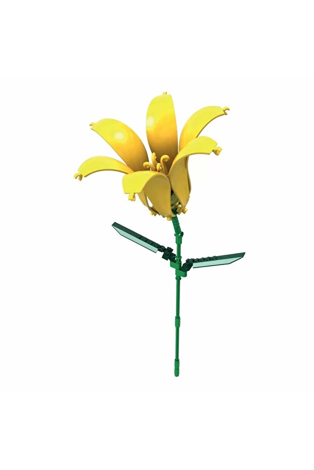 BLX Çiçek Buketleri C0281 - 6