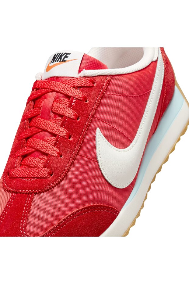 المحيط الهادئ - 11