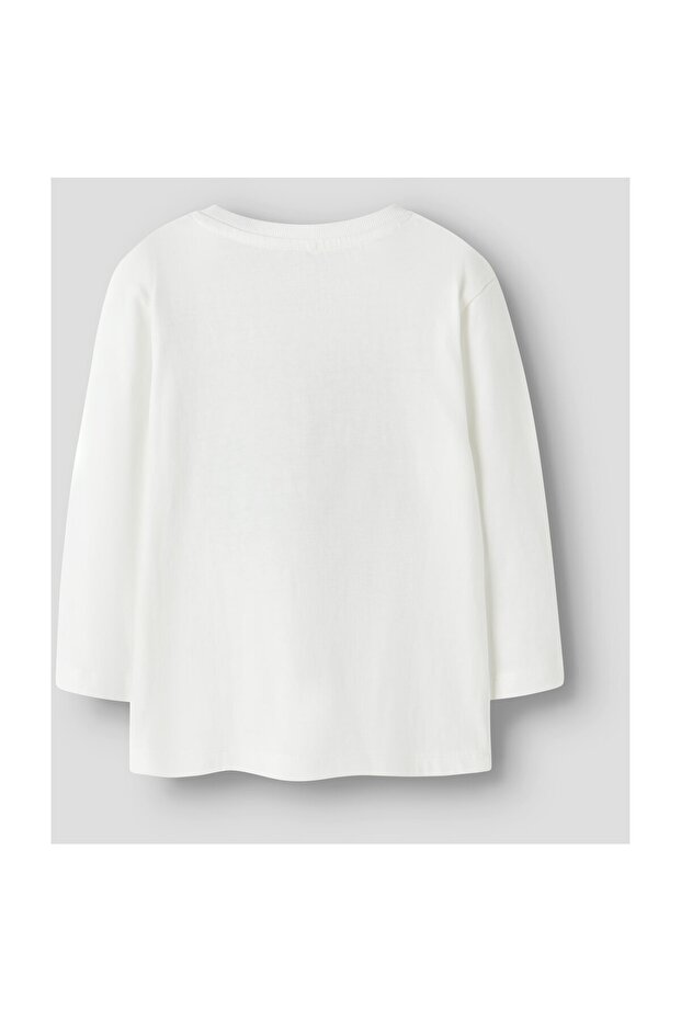 NMMVOSMAS LS NREG TOP - 3