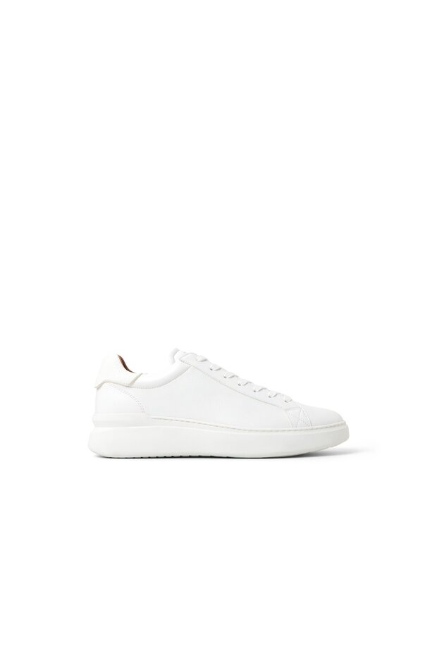 TODDY Men Shoes