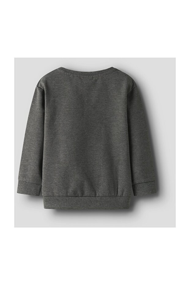 NMMSANDRO LS NREG SWEAT BRU - 1