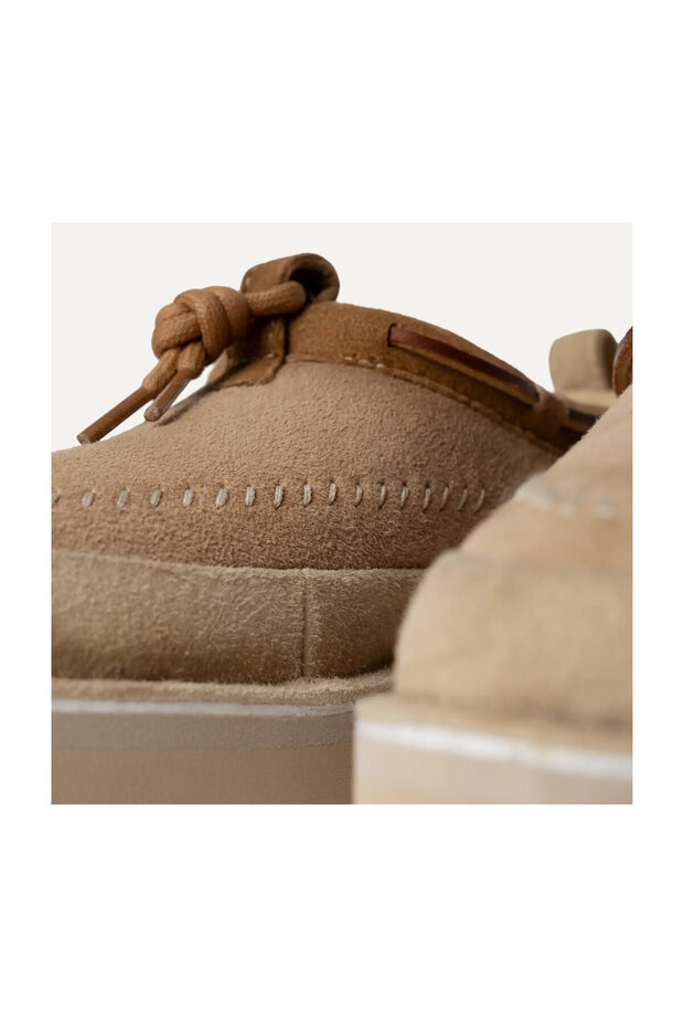 Tasman Crafted Regenerate - 5