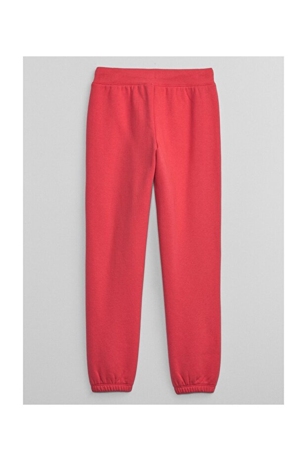 V-FA SLD LOGO JGR - 2