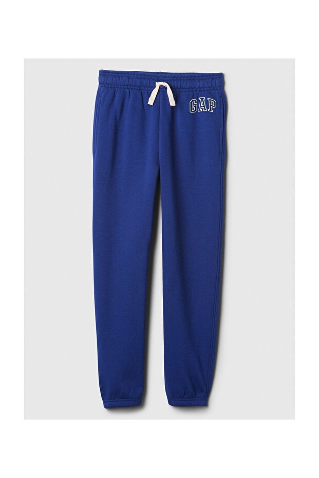 V-FALL FASH LOGO JGR - 1