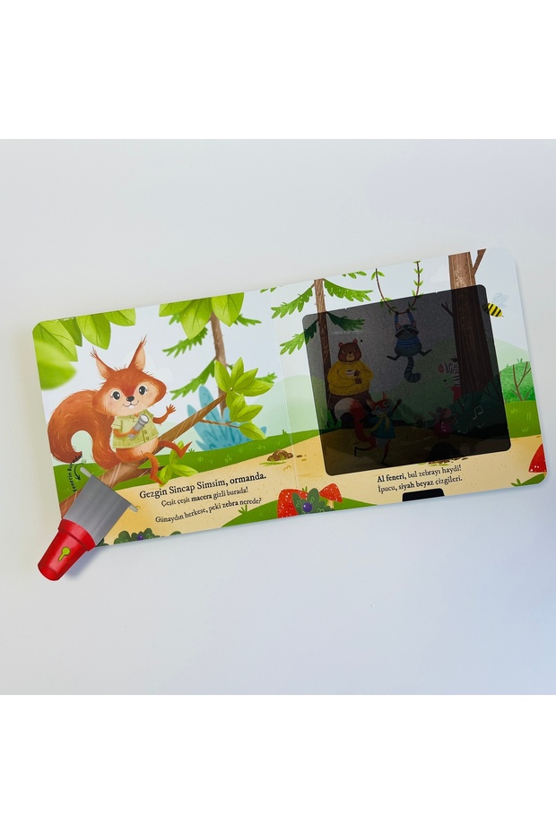 Bulurum Seni Ormanda - 2