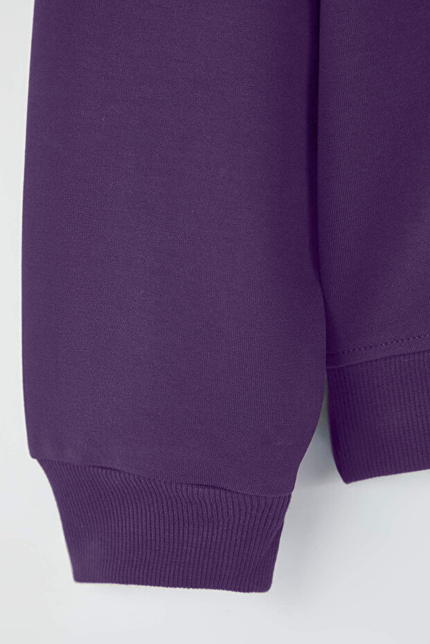 Mürdüm Yakası Fermuarlı Regular Büyük Beden Sweatshirt TBBAW26AO00019 - 2