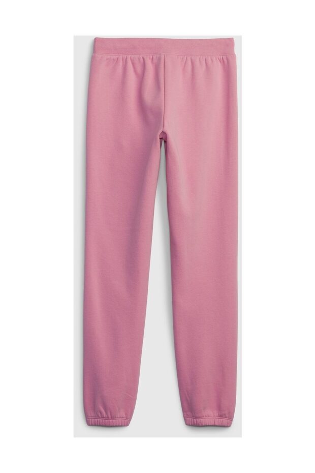 LOGO V-FRCH FLC JGR - 2