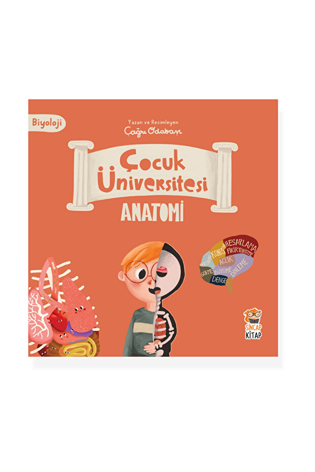 Çocuk Üniversitesi / Biyoloji Anatomi
