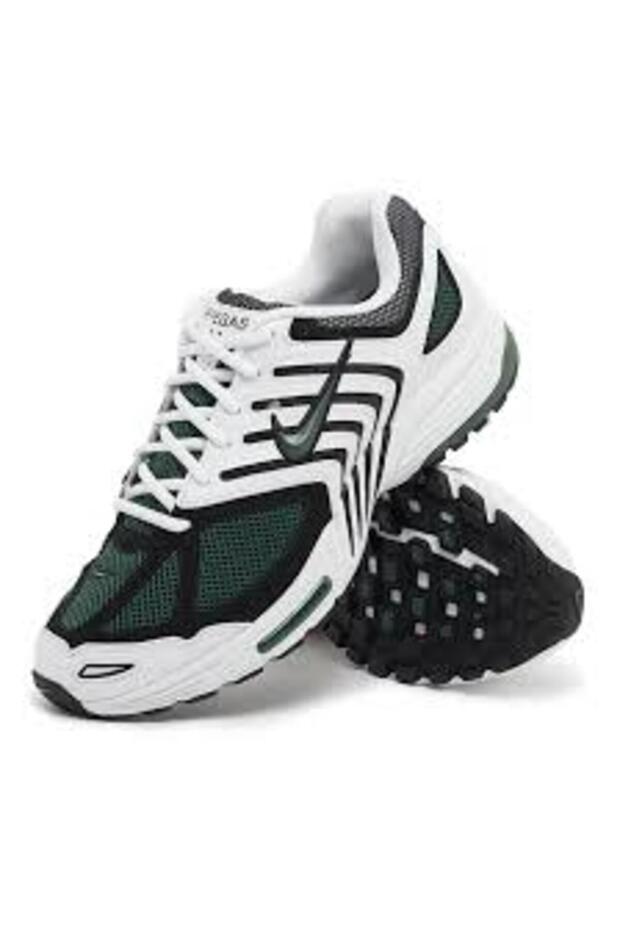 AIR PEGASUS 2005 - 3