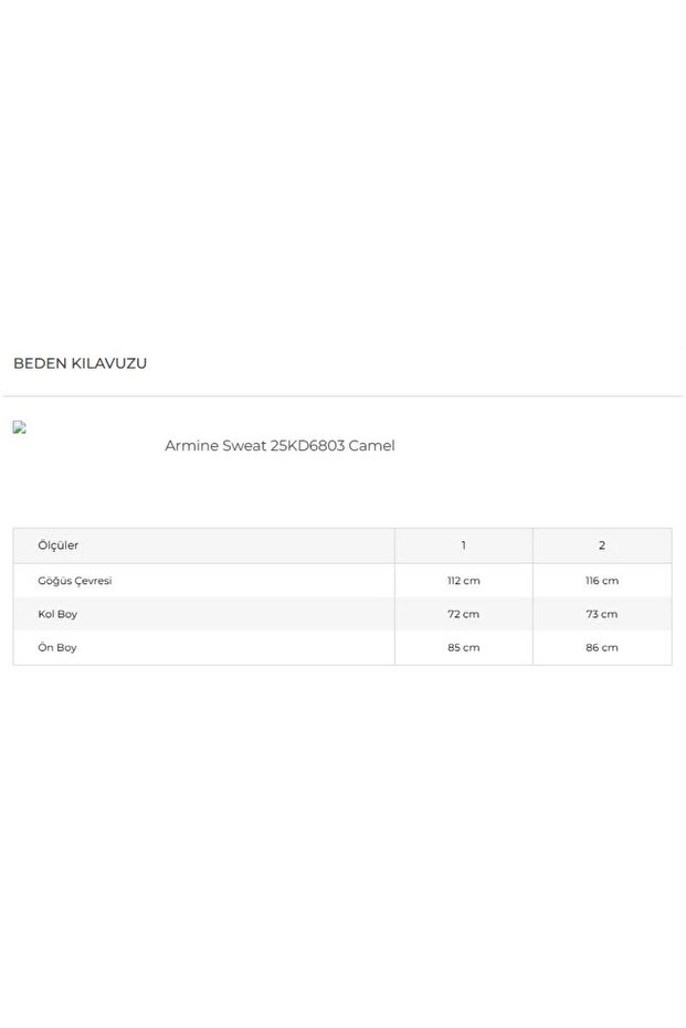 Sweat 25KD6803 Camel - 5