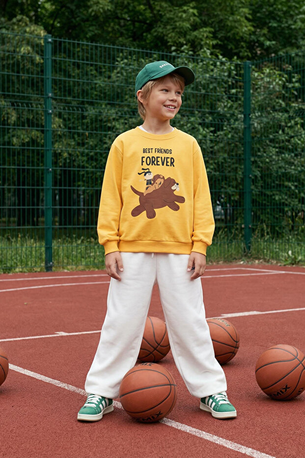 Sarı Erkek Çocuk Mevsimlik-İnce Hayvan Desenli Bisiklet Yaka Örme Sweatshirt TKDAW25SW00005 - 1