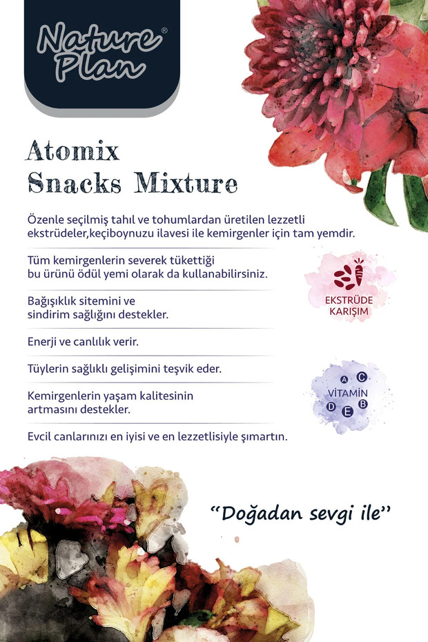 Atomix Snacks Mixture of 250 gr - 2