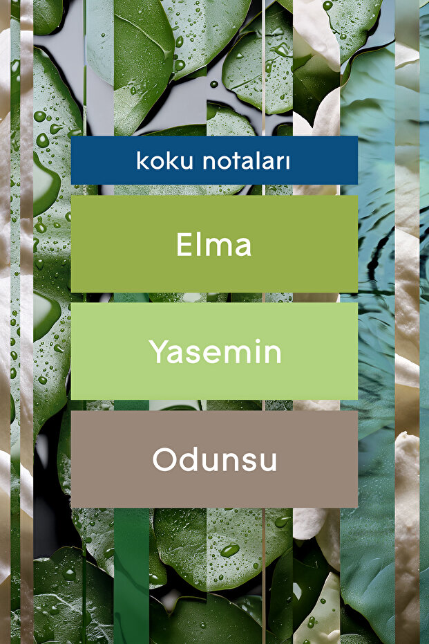 Ev & Tekstil Parfümü Lilyum 450 ml - 7