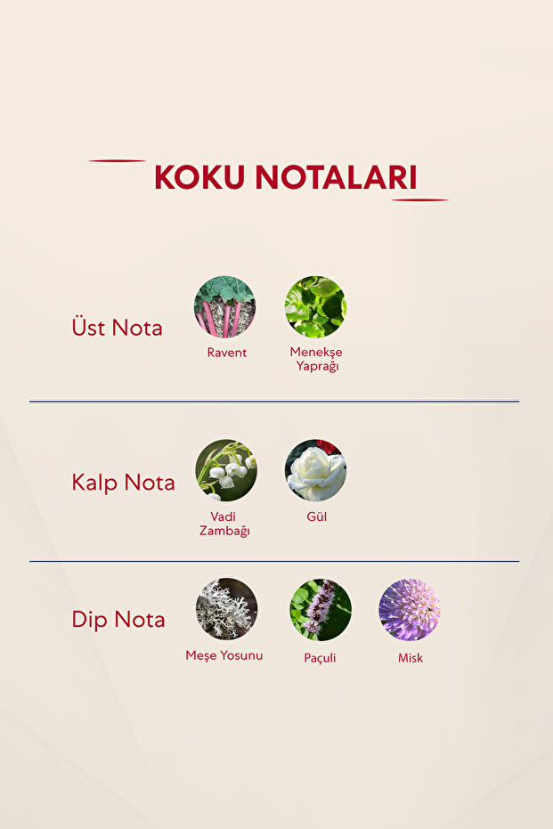 272 Kadın parfüm 50 ml edp - 4