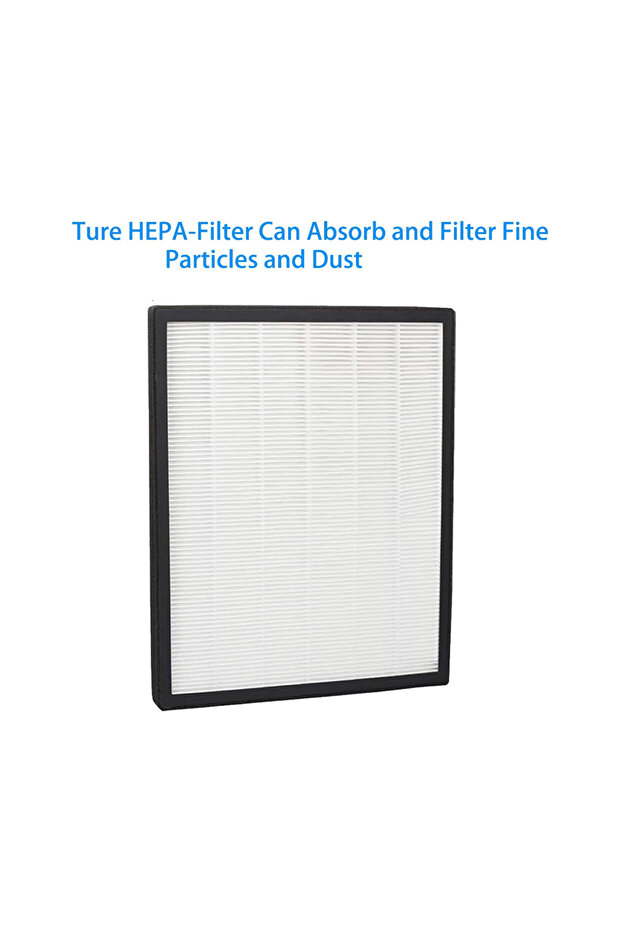 Nanoprotect Hepaa - Genuine Replacement Filter - 6