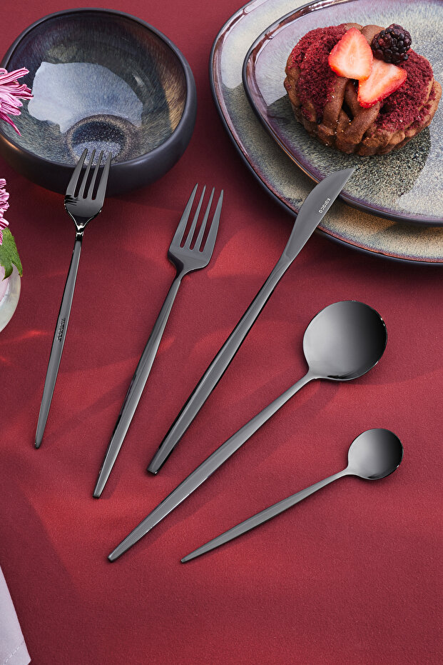 Orion Black 30-Piece 6-Person Fork Spoon Knife Set