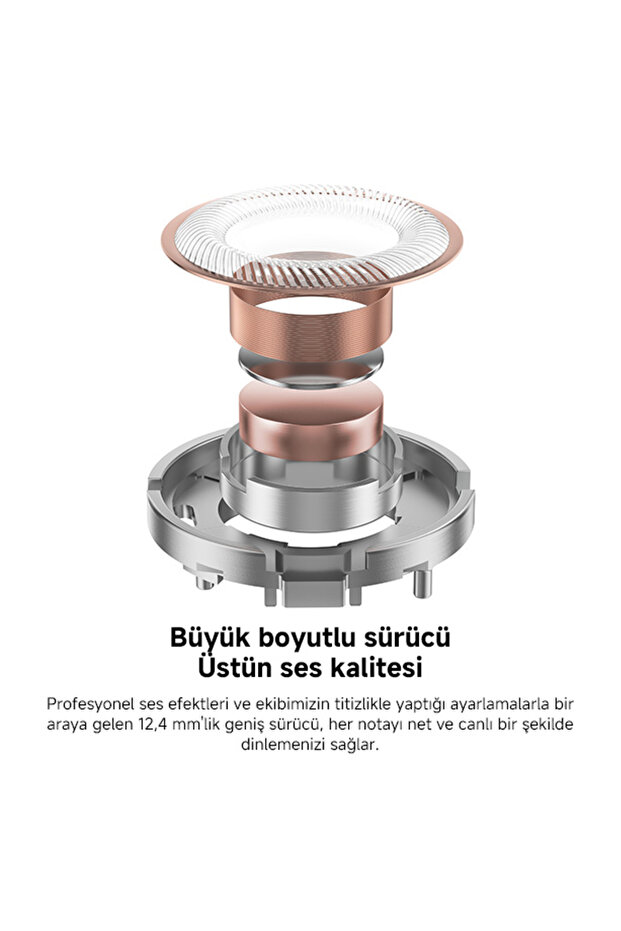 Earphone Type-C Port BHR8930GL - Black - 3