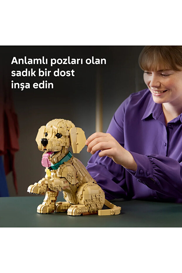 ® Icons Yavru Golden Retriever 11384 –Yetişkinler İçin Dekoratif Hayvan Figürü Yapım Seti (2102) - 7