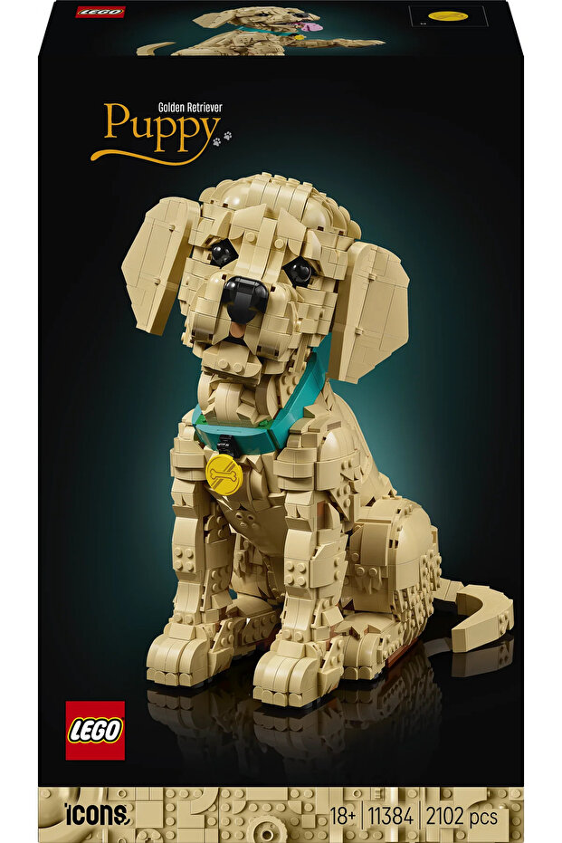 ® Icons Yavru Golden Retriever 11384 –Yetişkinler İçin Dekoratif Hayvan Figürü Yapım Seti (2102) - 4