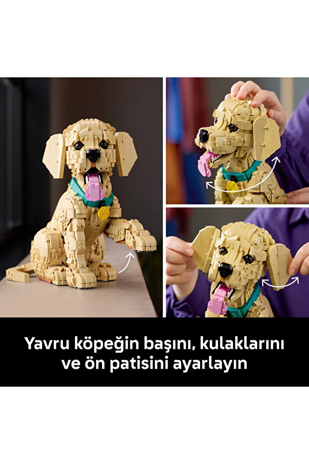 ® Icons Yavru Golden Retriever 11384 –Yetişkinler İçin Dekoratif Hayvan Figürü Yapım Seti (2102) - 8