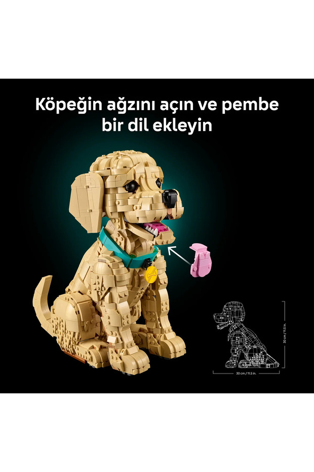 ® Icons Yavru Golden Retriever 11384 –Yetişkinler İçin Dekoratif Hayvan Figürü Yapım Seti (2102) - 9