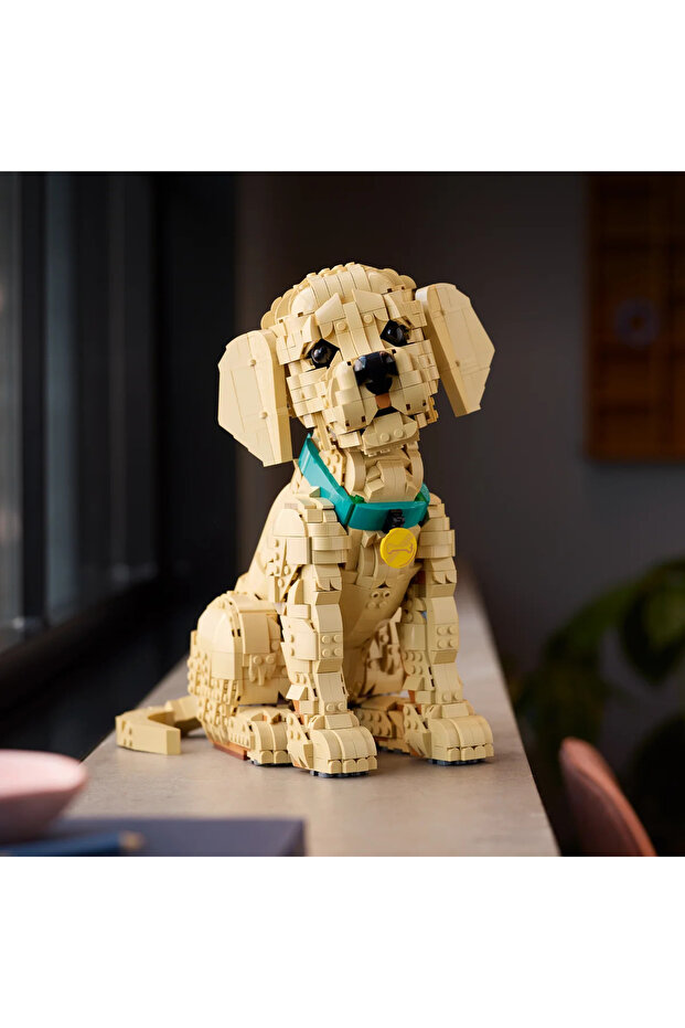 ® Icons Yavru Golden Retriever 11384 –Yetişkinler İçin Dekoratif Hayvan Figürü Yapım Seti (2102) - 11
