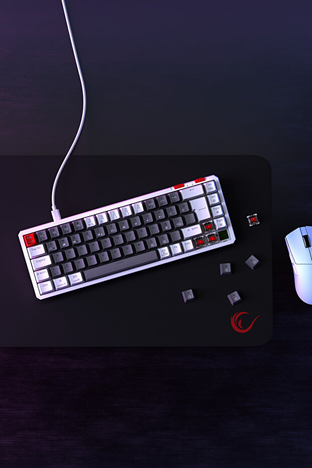 YORU Mini RGB Mekanik Gaming Oyuncu Klavyesi – Outemu Red Switch, Hot-Swap, Anti-Ghosting Gri/Beyaz - 6