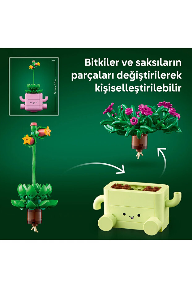 Kývavé rostliny - 7