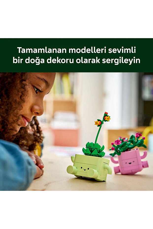 Kývavé rostliny - 9