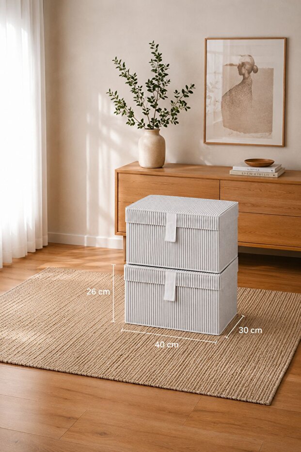 2 Pieces Mini Storage Box with Supportive Lid - Clothing Storage Box Organizer 40X30X26 cm - Gray Striped