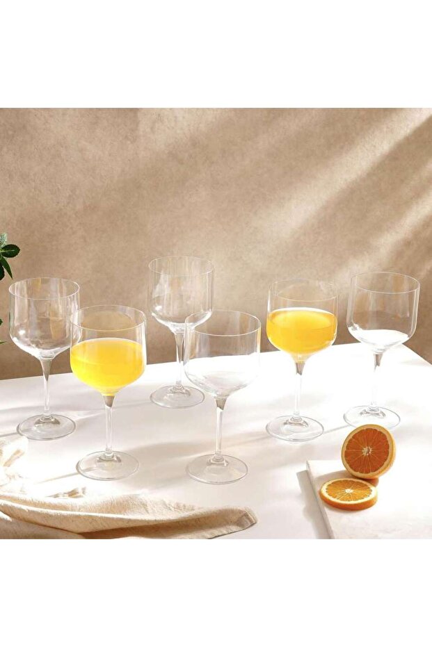 Umma 6-Piece Stemware Crystal Glass Set 490Ml -Clear