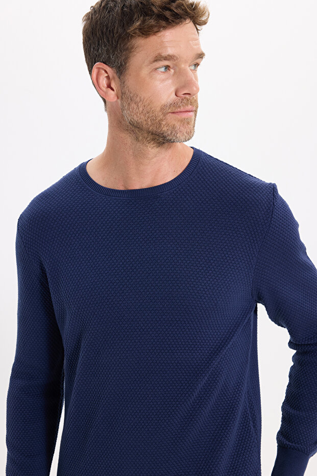 Men's Slim Fit Narrow Cut Crew Neck Honeycomb Patterned Sweater