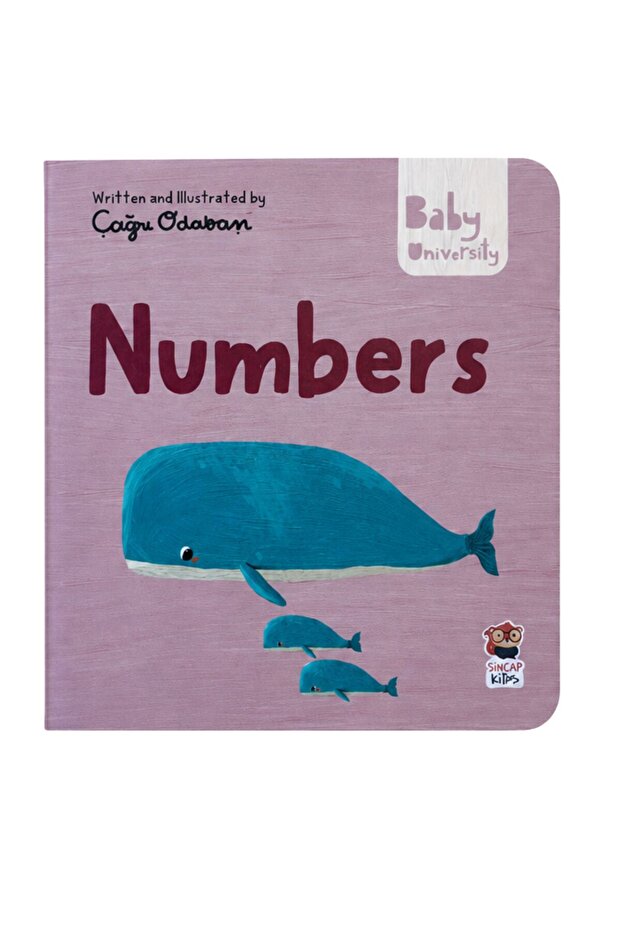 Numbers - Baby University First Concepts Stories 2