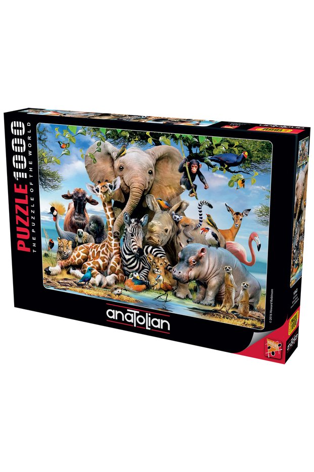 1000 Piece Jigsaw Puzzle - Smile 1043