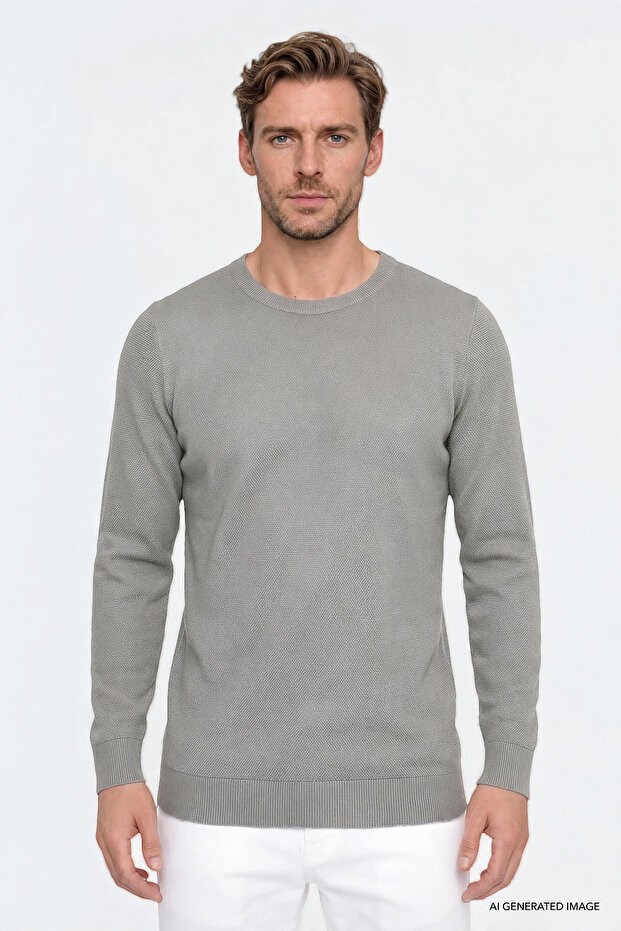 Men's Water Green Cotton Standard Fit Regular Cut Crew Neck Jacquard Knitwear Sweater