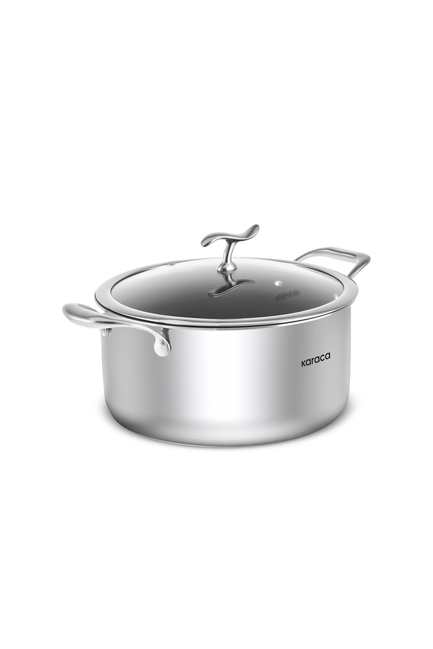 Plasma Steel 316+ 3Ply Fireproof Non-Stick Steel Pot 22 cm
