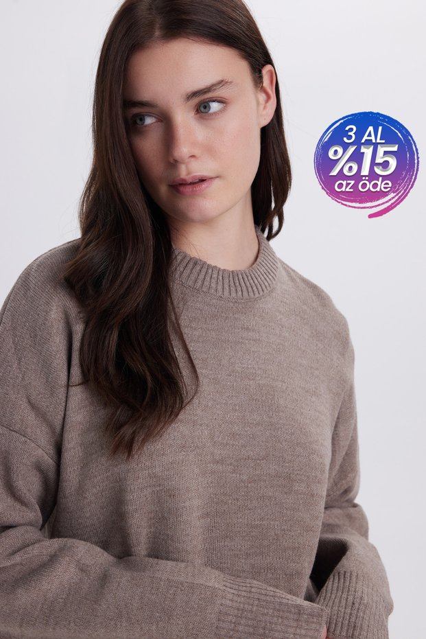 Women's Oversized Wide Cut Crew Neck Mink Sweater