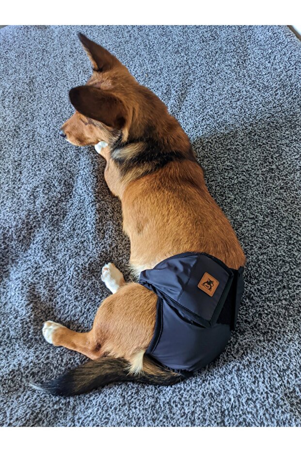 Female Dog Menstrual and Urination Pants with Pads, Washable