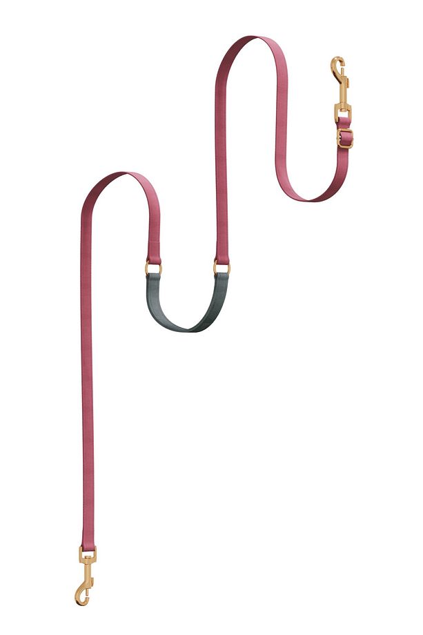 Charmlı Supreme Plus Dönüştürülebilir Kayış - 1